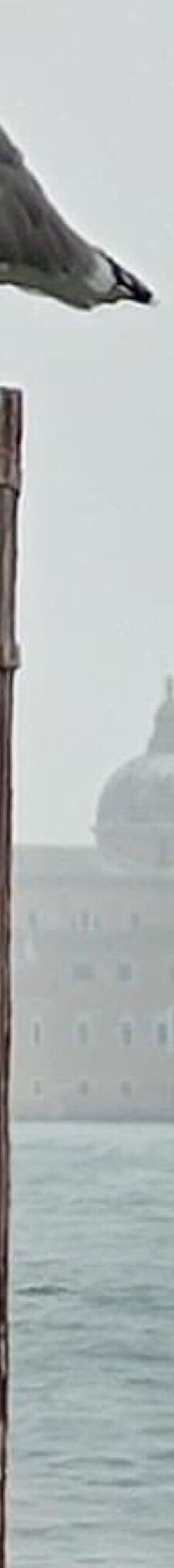 威尼斯救主堂-威尼斯