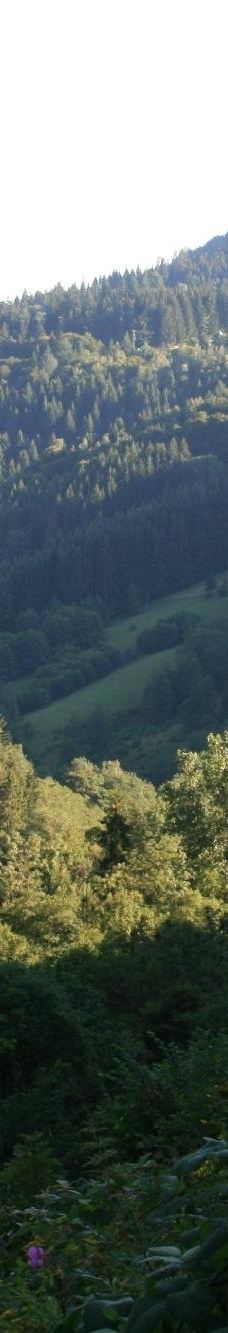 Todtnau Waterfall-托特瑙