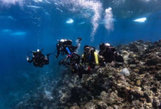 Badladz Scuba Diving购物图片