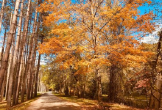 Beaver Creek State Park景点图片