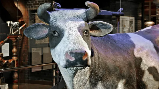 Dutch Cheese Museum