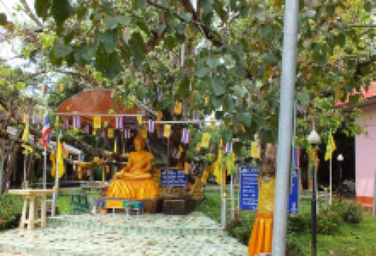Lord Buddha's Footprints景点图片