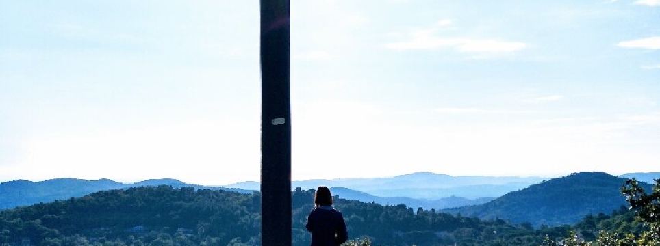 1348931785