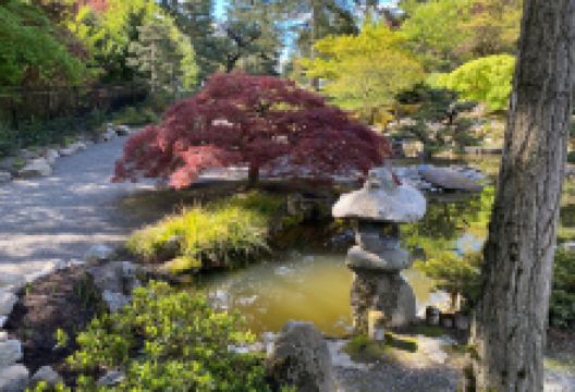 Highline SeaTac Botanical Garden景点图片