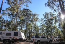 Bodalla Forest Rest Area景点图片