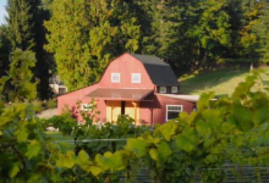 Dancing Fish Vineyards购物图片