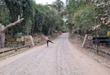 Sendero Guarani景点图片