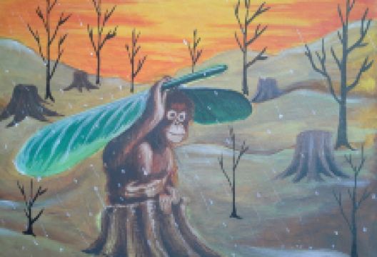 Orangutan Museum景点图片