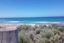 Basham's Beach Regional Park景点图片