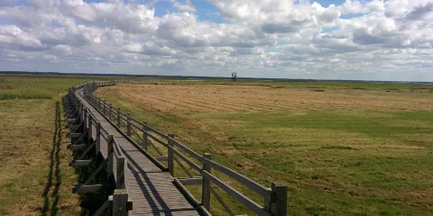 Liepaja lake watchtower