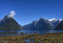 Milford Sound Foreshore Walk景点图片