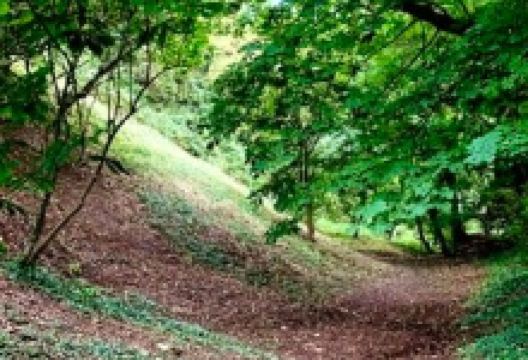 Deddington Castle景点图片