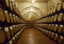 Bodegas Enguera景点图片
