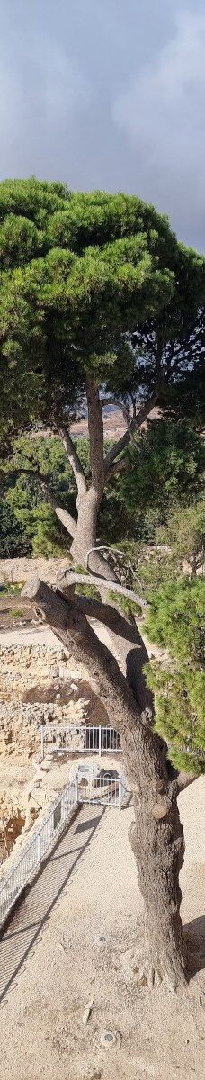 Nebi Samuel National Park-耶路撒冷