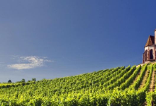 Domaine David Ermel & Fils景点图片