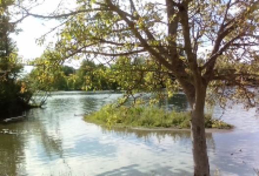 Jardin Garonne景点图片