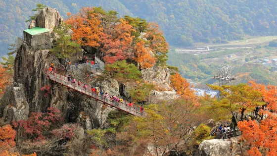 大芚山
