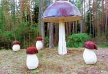 Sculptures "Mushrooms"景点图片