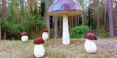 Sculptures "Mushrooms"