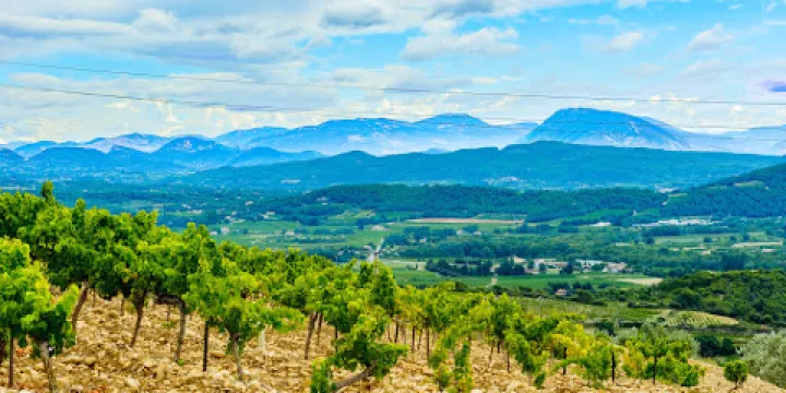 Domaine des Escaravailles