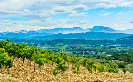 Domaine des Escaravailles