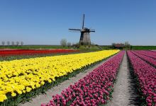 bovenmolen G景点图片