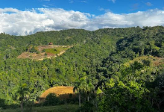 Trillo Jurutungo景点图片