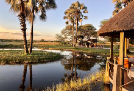 Onguma Leadwood Campsite景点图片