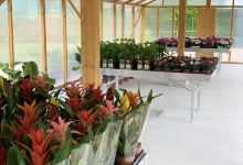 Breizh Nature购物图片