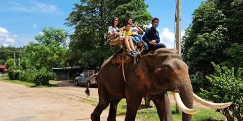 Taweechai Elephant Camp