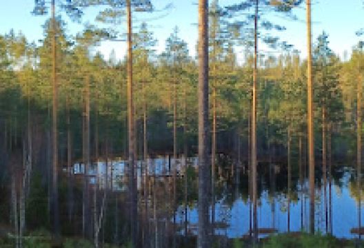 Tolpankangas Nature Trail景点图片