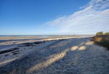 Kauritutahi Beach景点图片