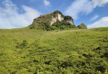 Đồi cỏ Cháy Vinh Quý景点图片