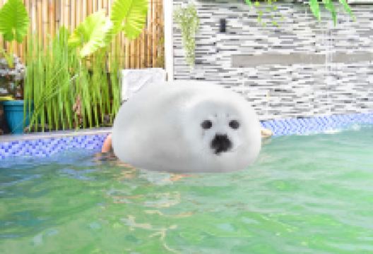 La Nita Resort景点图片
