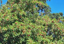 Fall Creek Memorial Park景点图片
