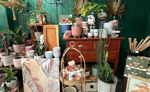 Jungle In Willunga