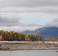 奇尔卡特河-海恩斯自治市镇