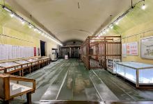 海洋玫瑰公园 野田玉川景点图片
