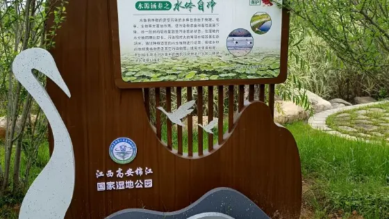 瑞陽湖濕地公園