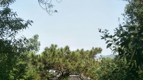 北台森林公園