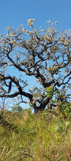Chapada Imperial-Brazlandia