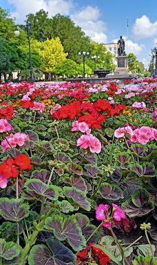 Potomkinskyi Garden Square-Khersons'ka city council