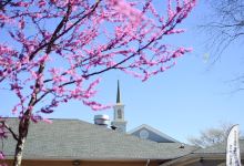Mountain Park Church景点图片