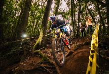 Bike Park Gavlaki景点图片