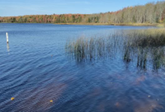 Bobcat Lake景点图片