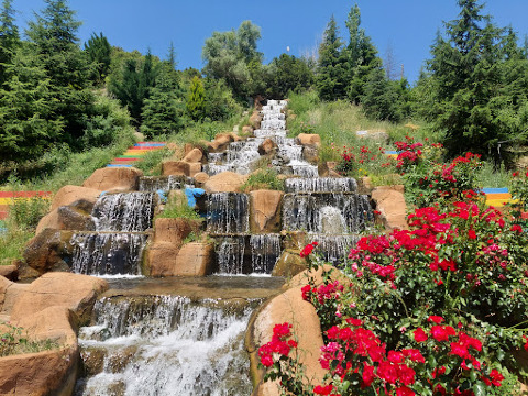 DÜŞLER ŞELALESİ餐厅图片