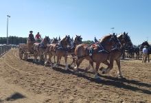 Murray County Fair景点图片