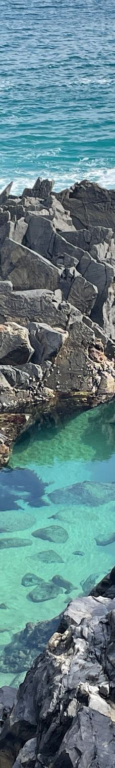 努沙国家公园-努萨角