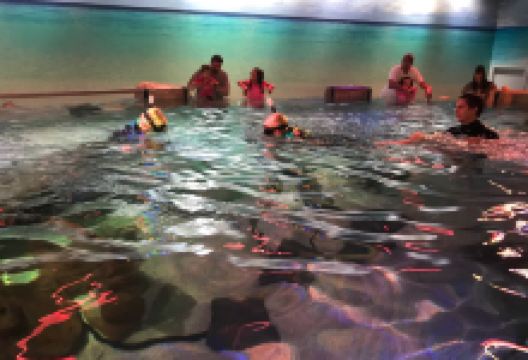 Layton Aquarium & Wildlife景点图片