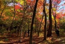 瑞宝寺公园景点图片